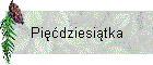 Pięćdziesiątka