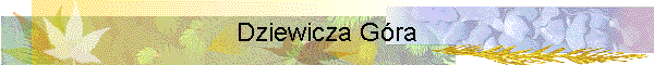 Dziewicza Góra