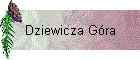 Dziewicza Góra