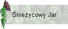 Śnieżycowy Jar
