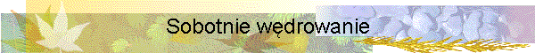 Sobotnie wędrowanie